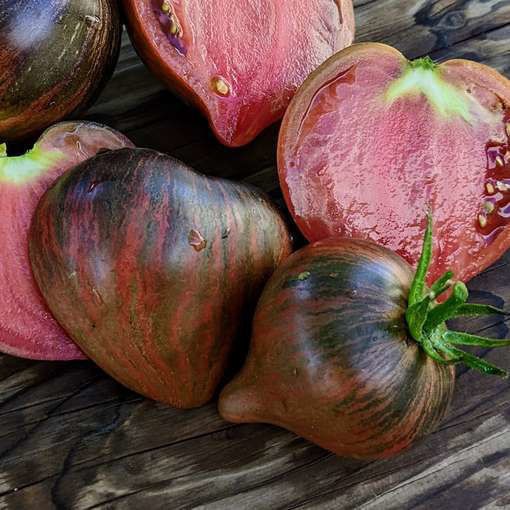 10 seeds Rebel Starfighter Prime Heart Tomato Rare ORGANIC Variety