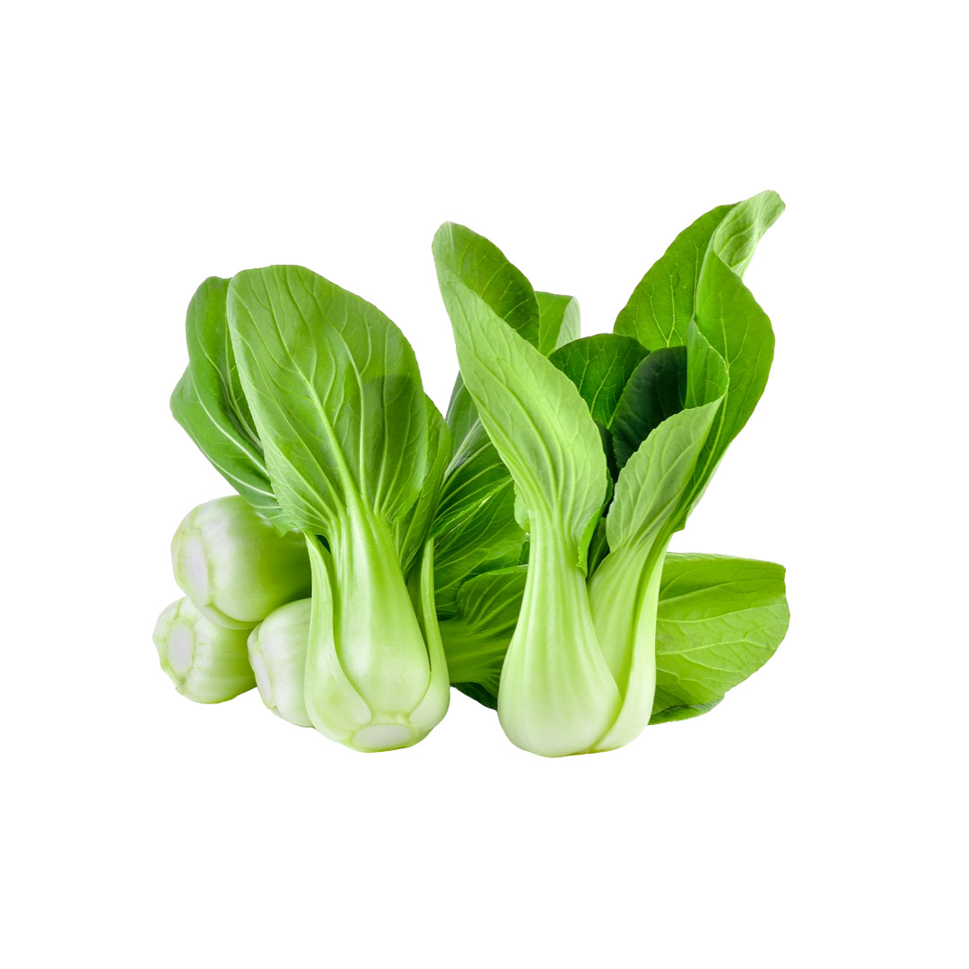 200++ Shanghai Green Stem Bok Choy/Pak Choi Seeds Pak Tsoi Samho 2024