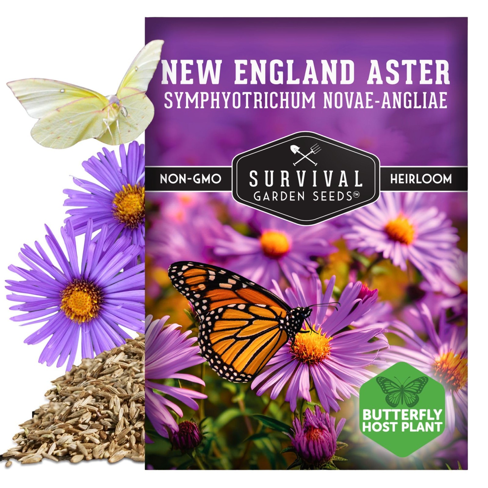 New England Aster Seeds for Planting | Native Purple Perennial Wildflower | B…