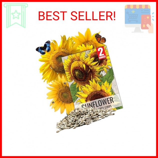 Seed Needs Sunflower Seeds to Plant Mammoth Grey Stripe | 2 Ounce Large Resealab