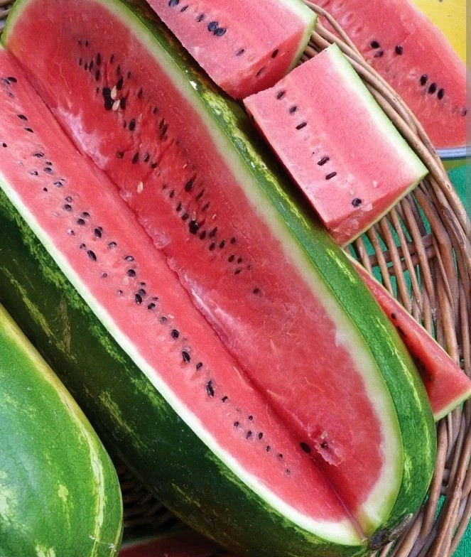 Jubilee Watermelon Seeds 25+ Pack Huge Juicy Sweet Disease Resistant