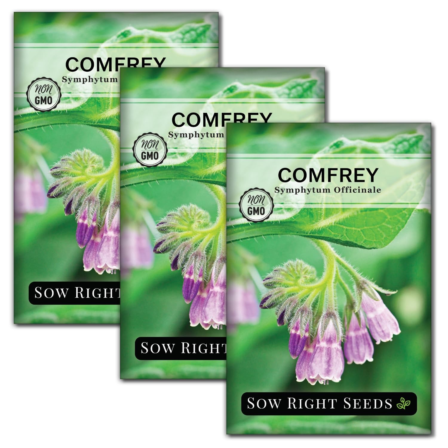 Sow Right Seeds Non-GMO Heirloom Comfrey Seeds for Planting 3 Pack
