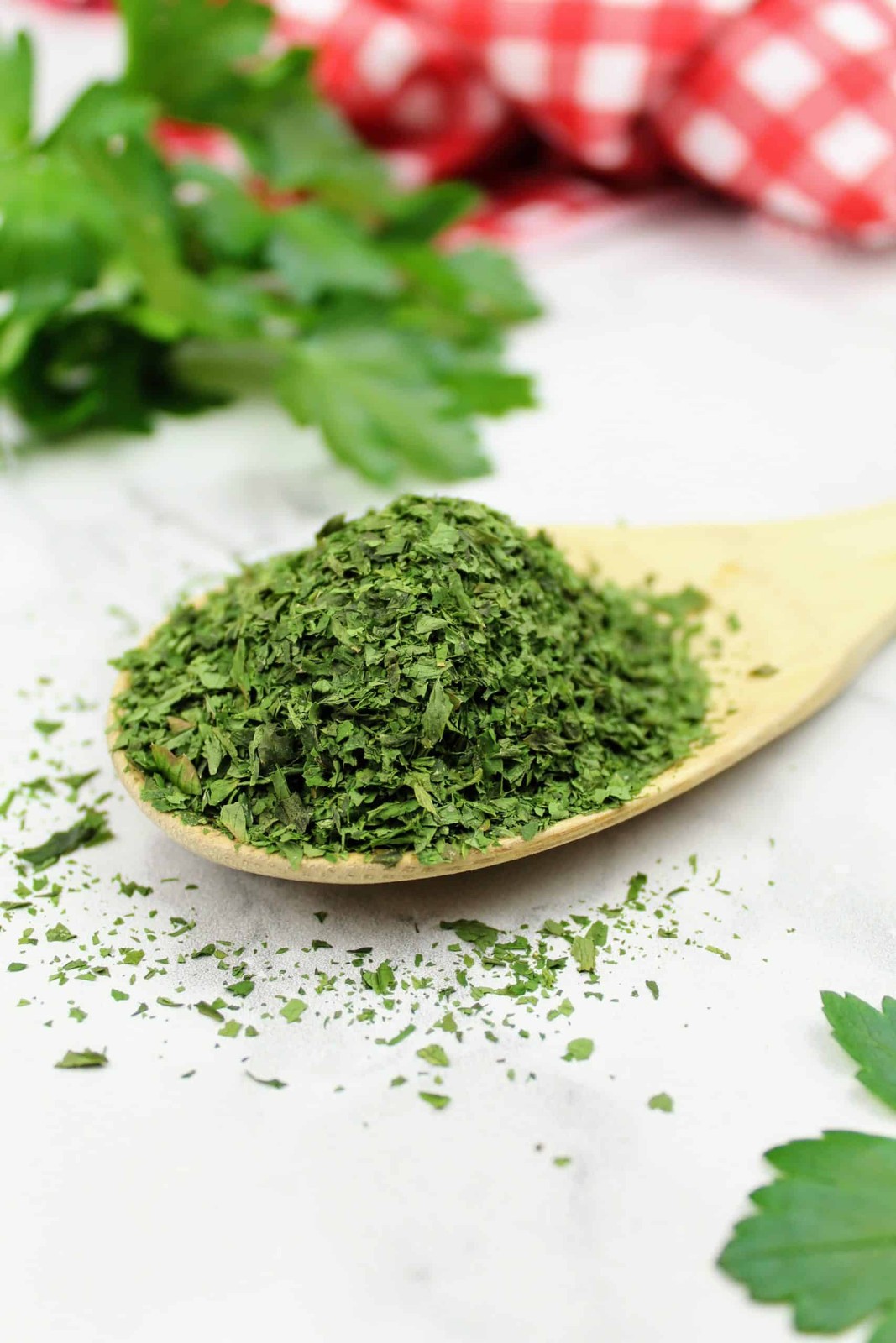 Giant Italian Flat Leaf Parsley Seeds | For Planting Huge Herb Garden Seed 2024