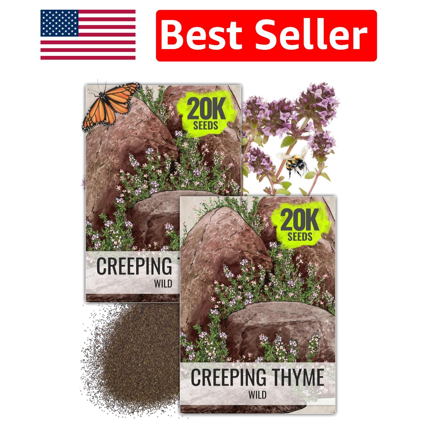 Heirloom Wild Creeping Thyme Seeds – Aromatic Groundcover for Gardens (2 Packs)