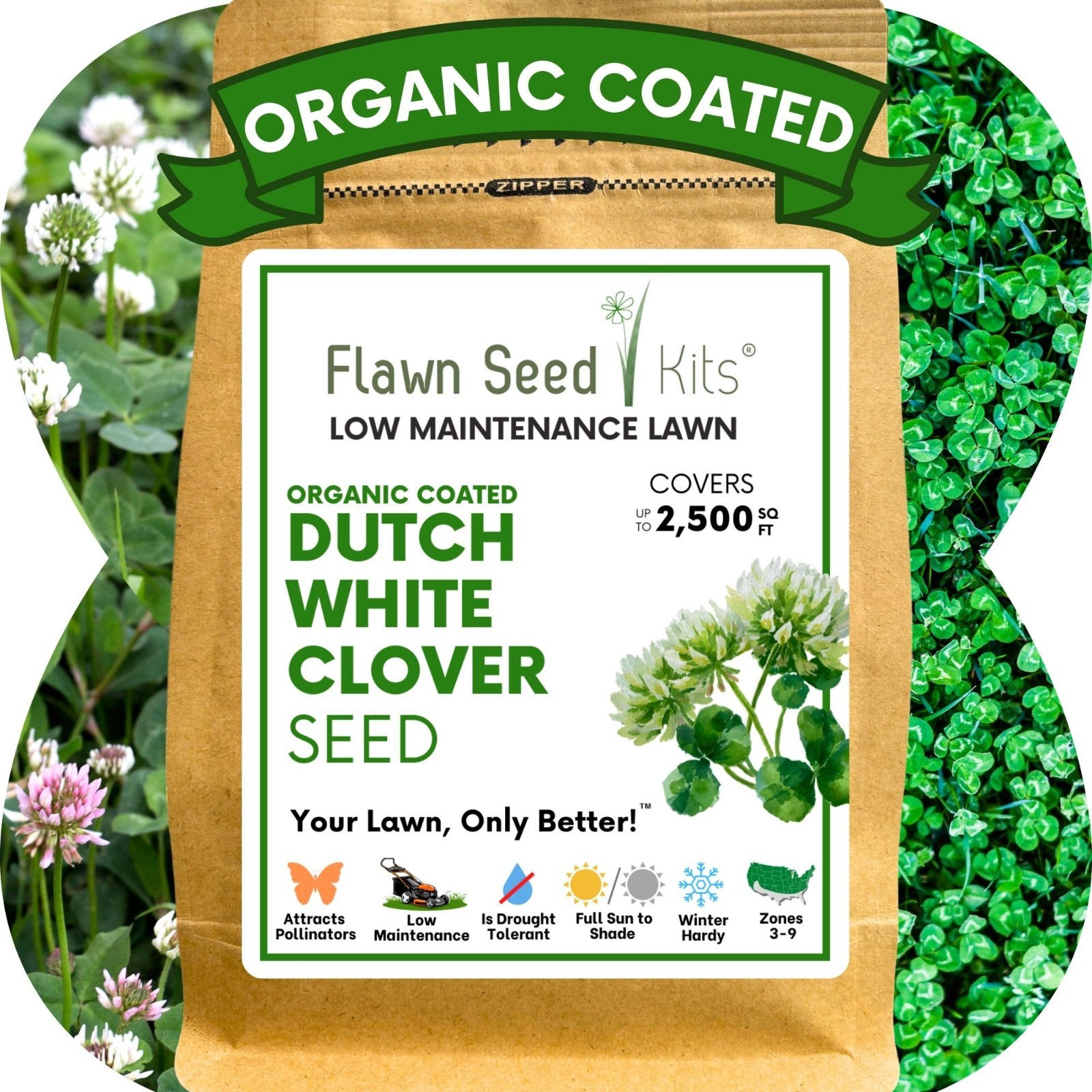 Dutch White Clover Seed, Organic Coated, Eco-Friendly, Low Maintenance