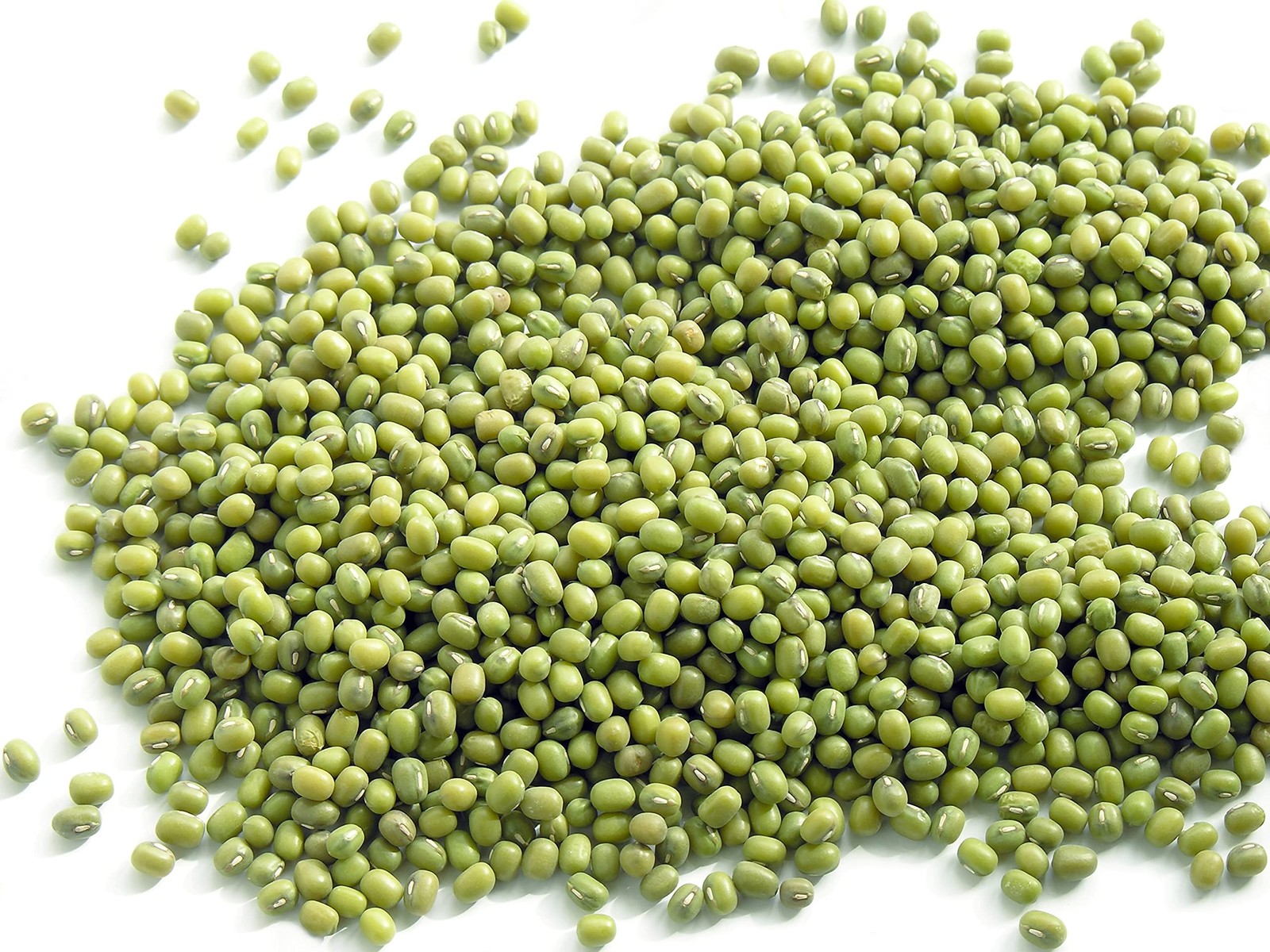 Todd’s Seeds® Sprouting Seeds Mung Bean, Chinese Bean Sprouts, 5 Pounds