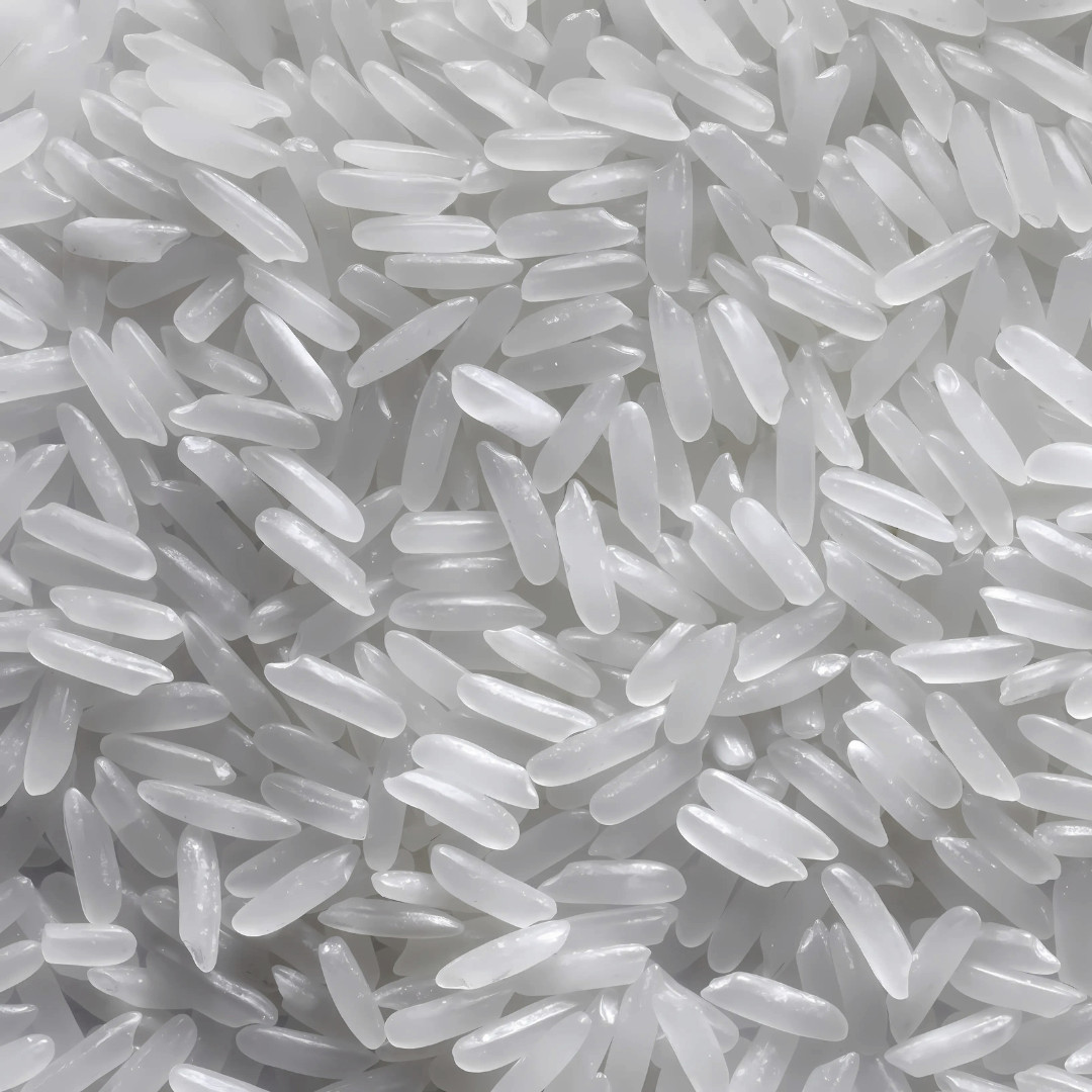 Fresh Thai White Jasmine Rice Seeds | Taiguo Xiang Mi | Heirloom Non-GMO | Grain
