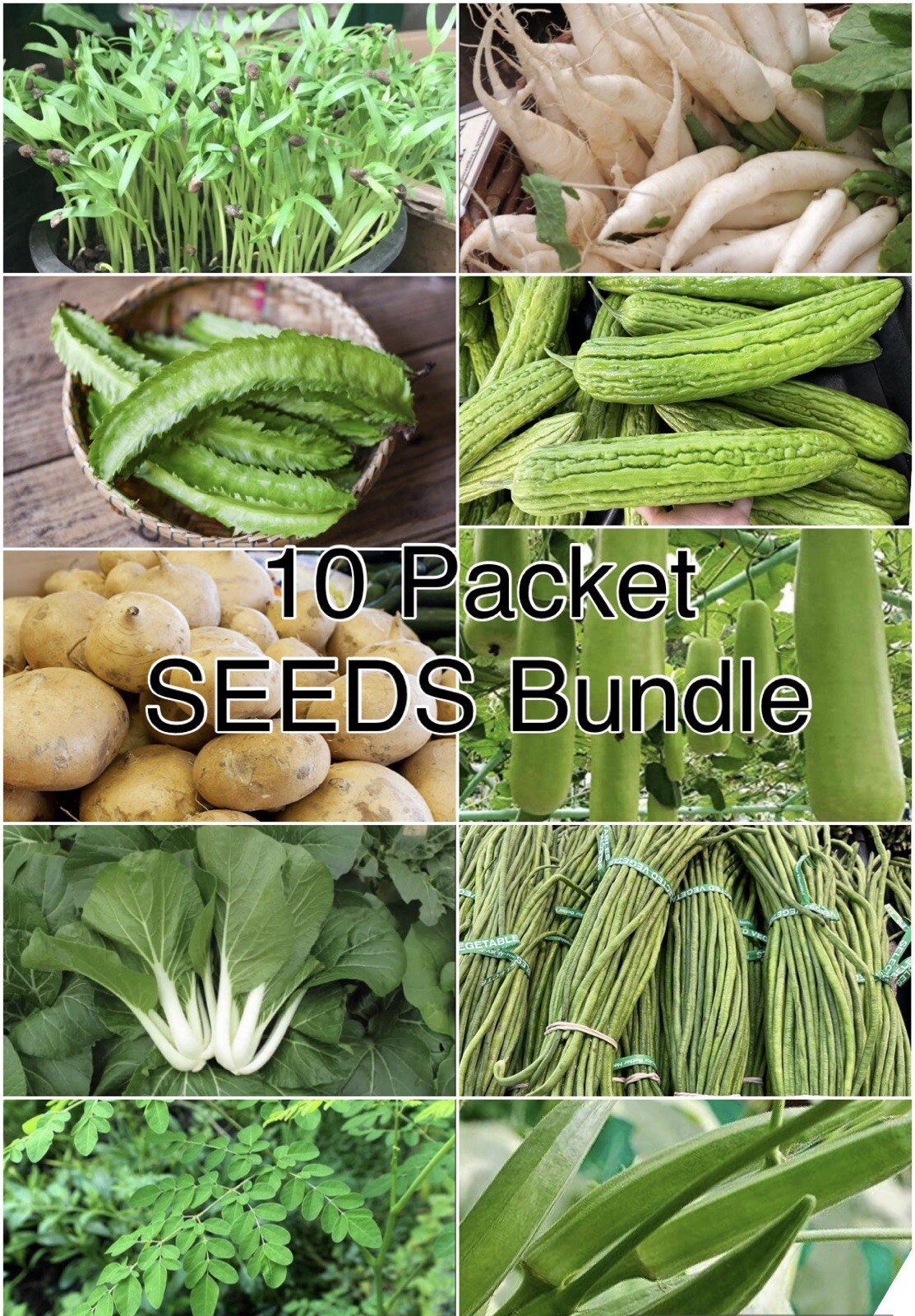 10 Packet Filipino | Asian SEEDS Bundle for Planting