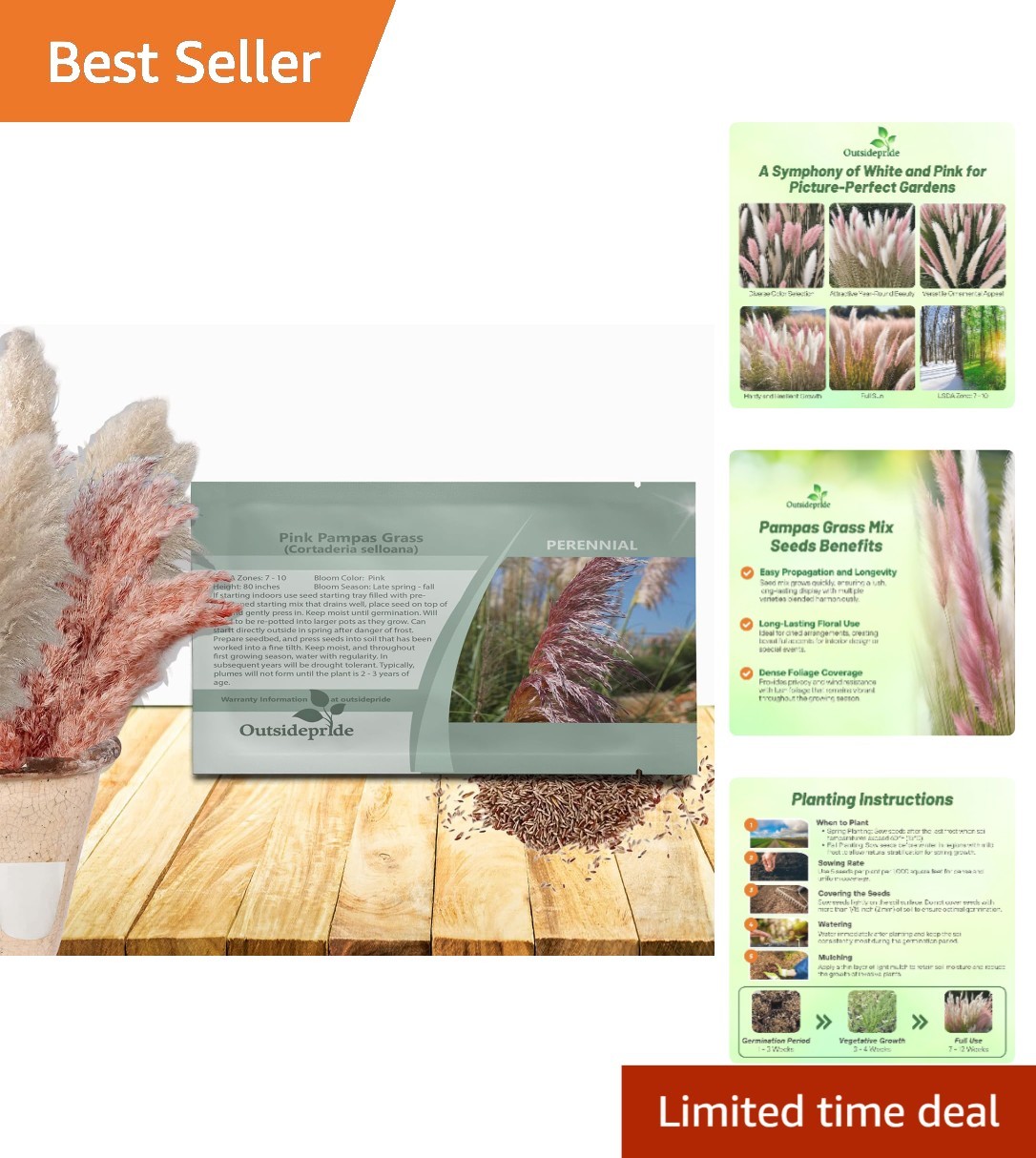 Mix of Pampas Grass Seeds for Xeriscaping and Low Maintenance Gardens