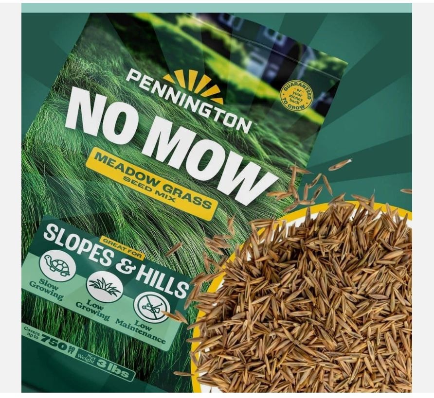3 lbs. 750 sq. ft. No Mow Grass Seed Mix