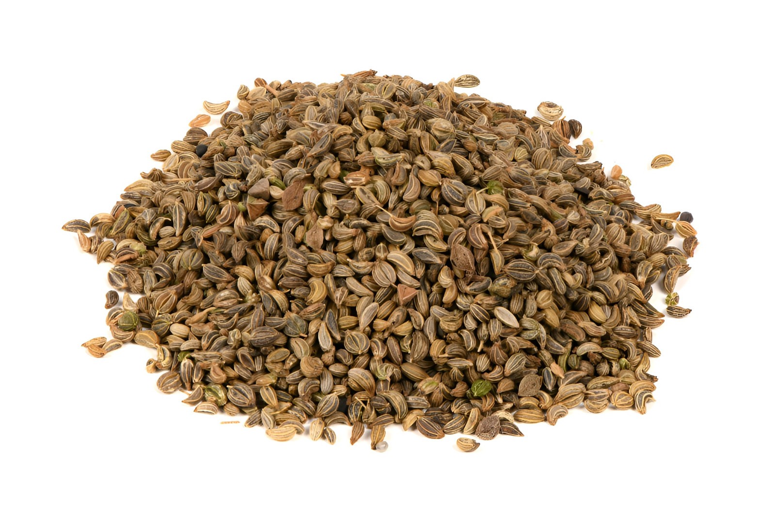 1200 Heirloom Bouquet Dill Seeds – Classic Dill Flavor – Herb – NonGMO Organic