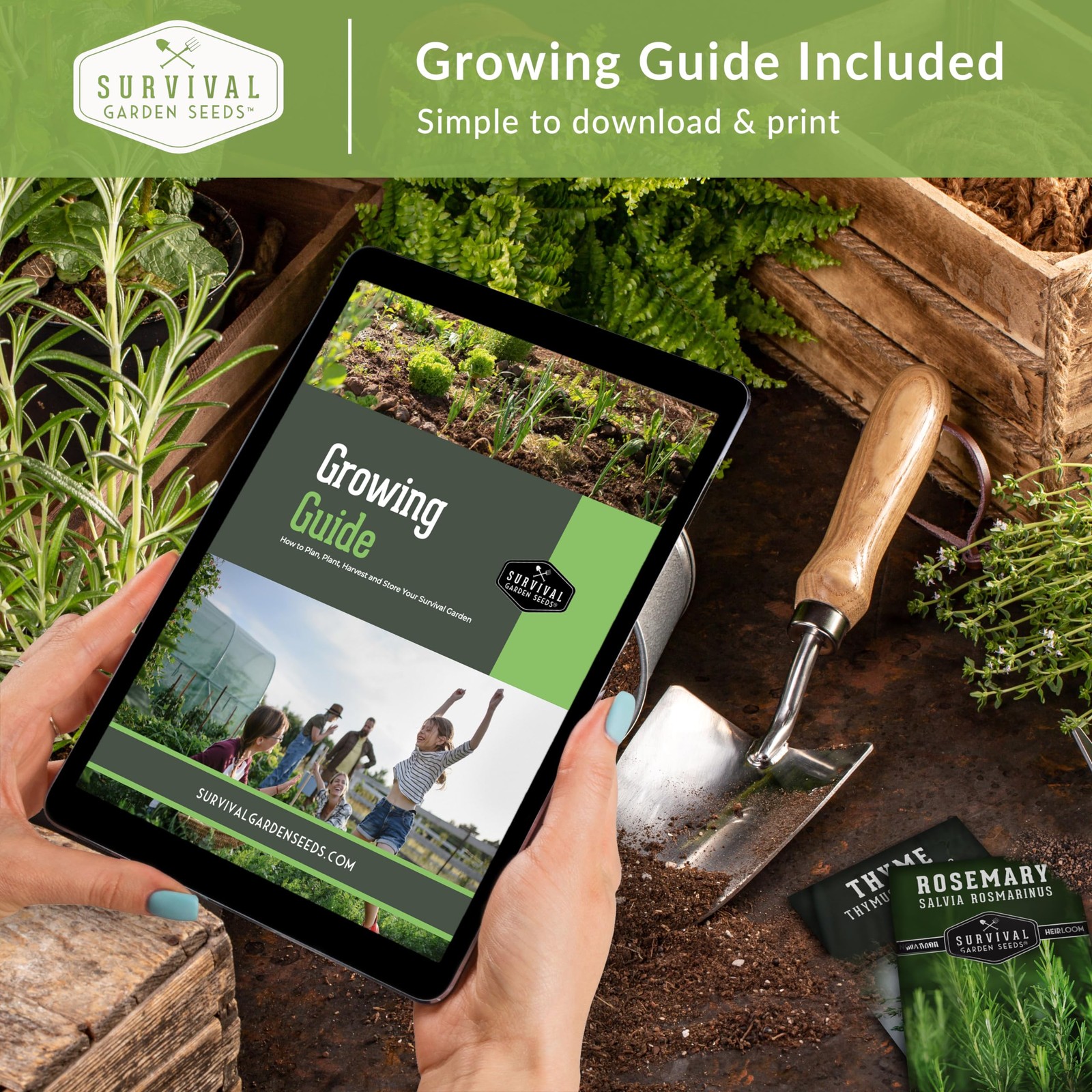 Celery Collection for Planting – 2 Packet with Instructions to Plant and Grow…