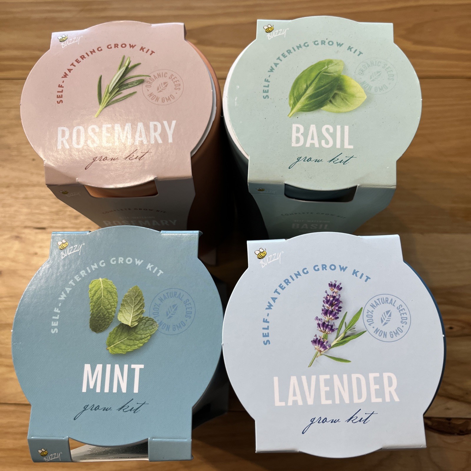 Lot of 4 Buzzy Garden Grow Kit Indoor Herb Garden Includes Seeds Ceramic Pot