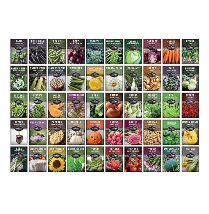 Homesteader Vault 50 Packs Non-GMO Heirloom Vegetable Fruit Herb WE SHIP OVERSEA