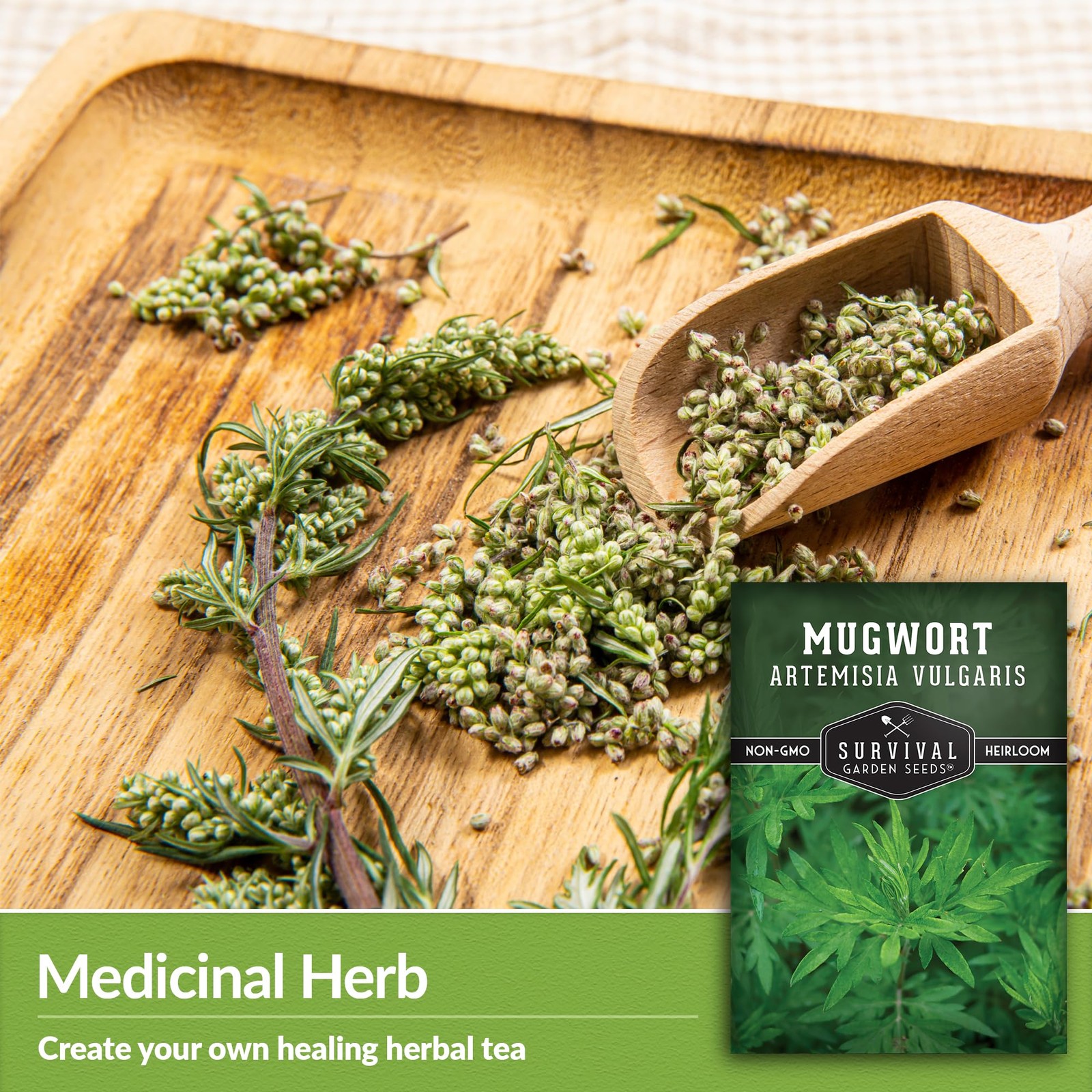 Mugwort Seeds for Planting – 3 Packets with Growth Instructions for Home Garden