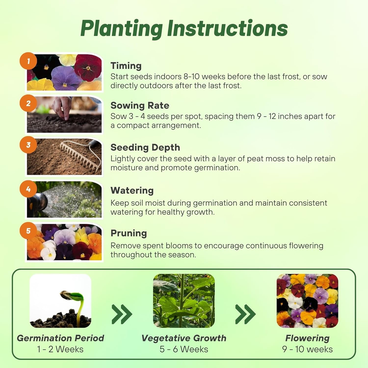 2000 Seeds Growing Pansies From Seed – Clear Crystals Flower Seeds