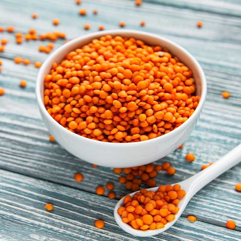 Crimson Lentil Seeds (2 lb) / Bush / Easy / DELICIOUS / Rare / Sprouting seeds