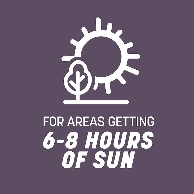[FLASH SALE] Pennington 50-lb Annual Ryegrass Grass Seed