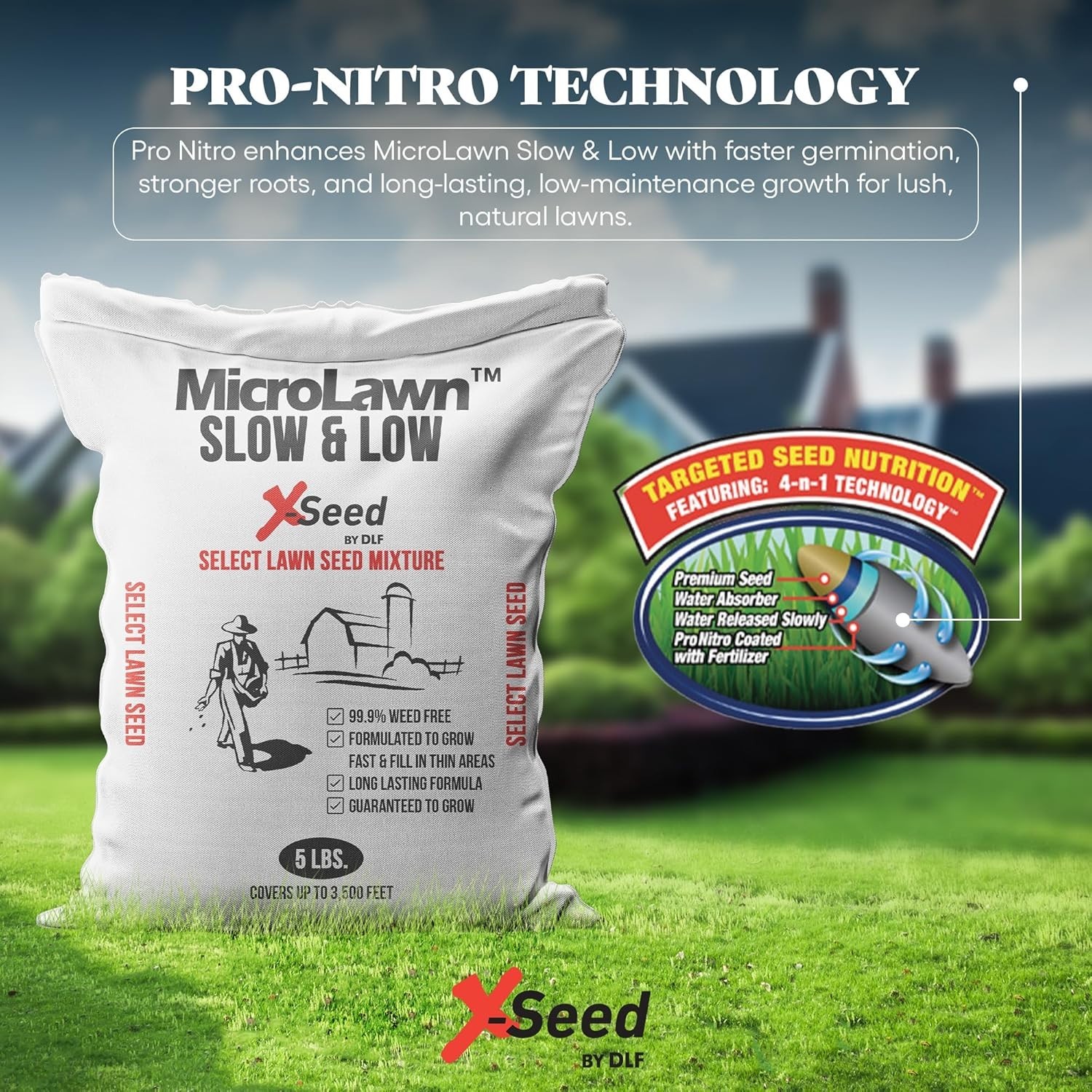X-Seed Micro-Lawn Slow & Low Grass Seed for Cool Season Lawns, No Mow Natural