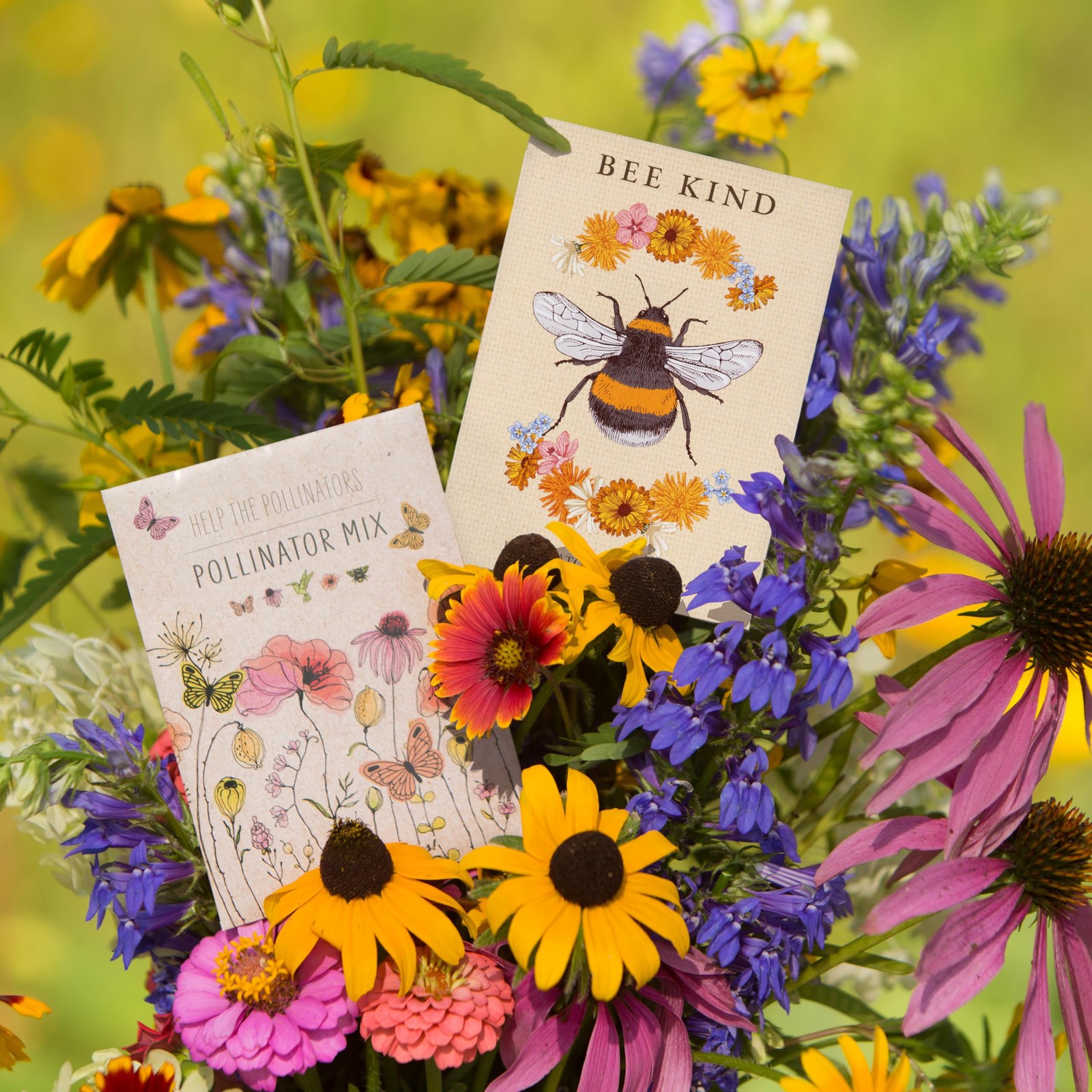 Bentley Pollinator Mix – Pre-Filled, Non-GMO, Non-Coated Butterfly Packets – …
