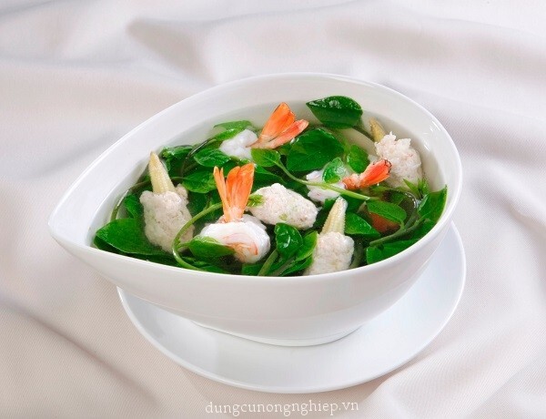 Green Malabar Spinach Seeds /Ceylon /Mồng Tơi  for 2025 season USA Seller