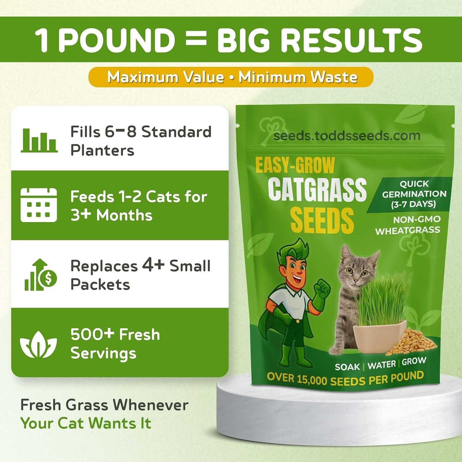 Todds Seeds – Cat Grass for Indoor or Outdoor Cats, 1lb Wheatgrass – Premium,