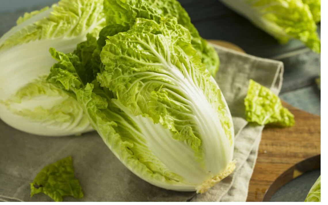 Cool Season 3oz of Pak choy, Chinese Broccoli & Michihili, Pak Choi Cabbage