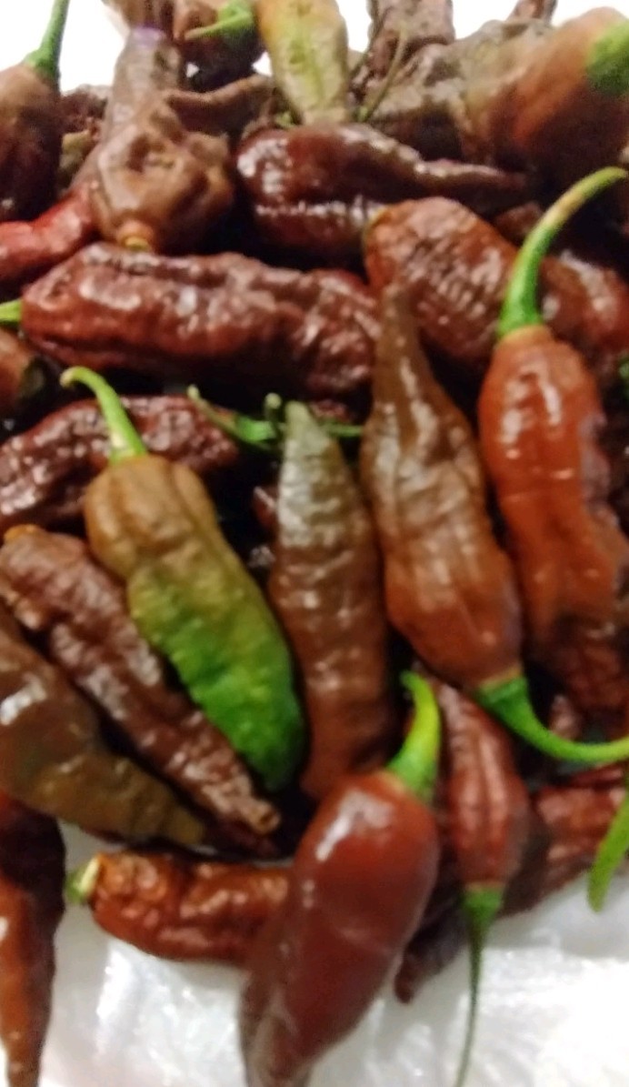 Chocolate Ghostly Jalapeno (20 Seeds) Super Hot, Free Shipping