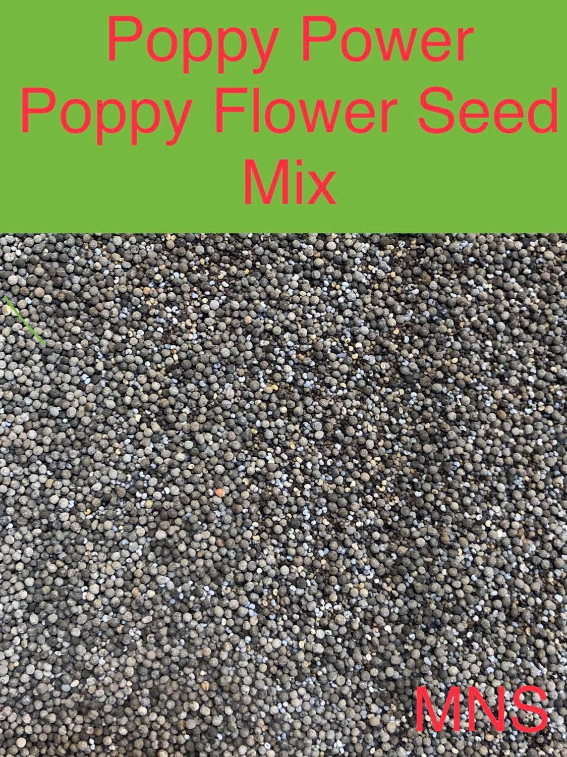 POPPY POWER Mix w/ Perennial Oriental Poppies Papaver USA Non-GMO 2000 Seeds!