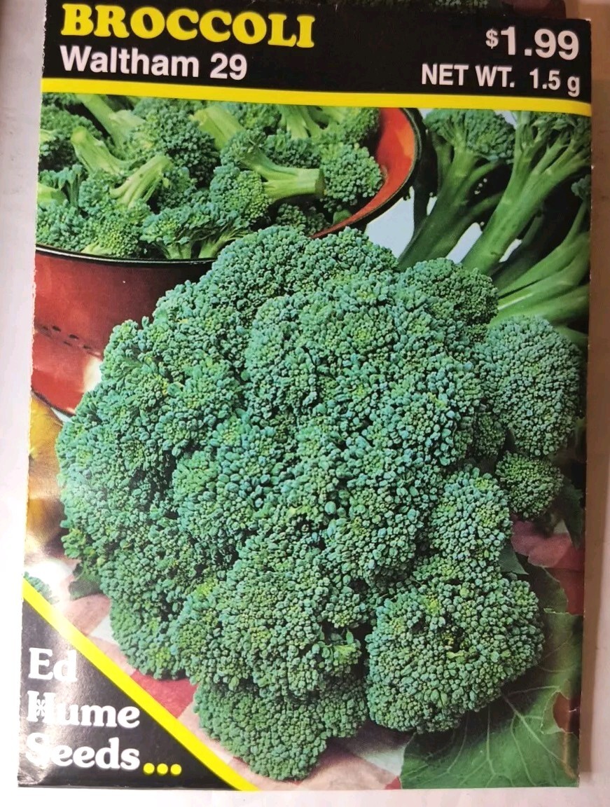 Lot Of 13 Ed Hume Non GMO Herb Mix, Broccoli & Salad Lettuce Seeds