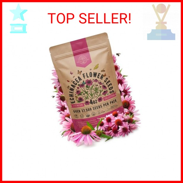 Organo Republic Echinacea Seeds Pack 4 oz – Over 37,500 Non-GMO Heirloom Echinac