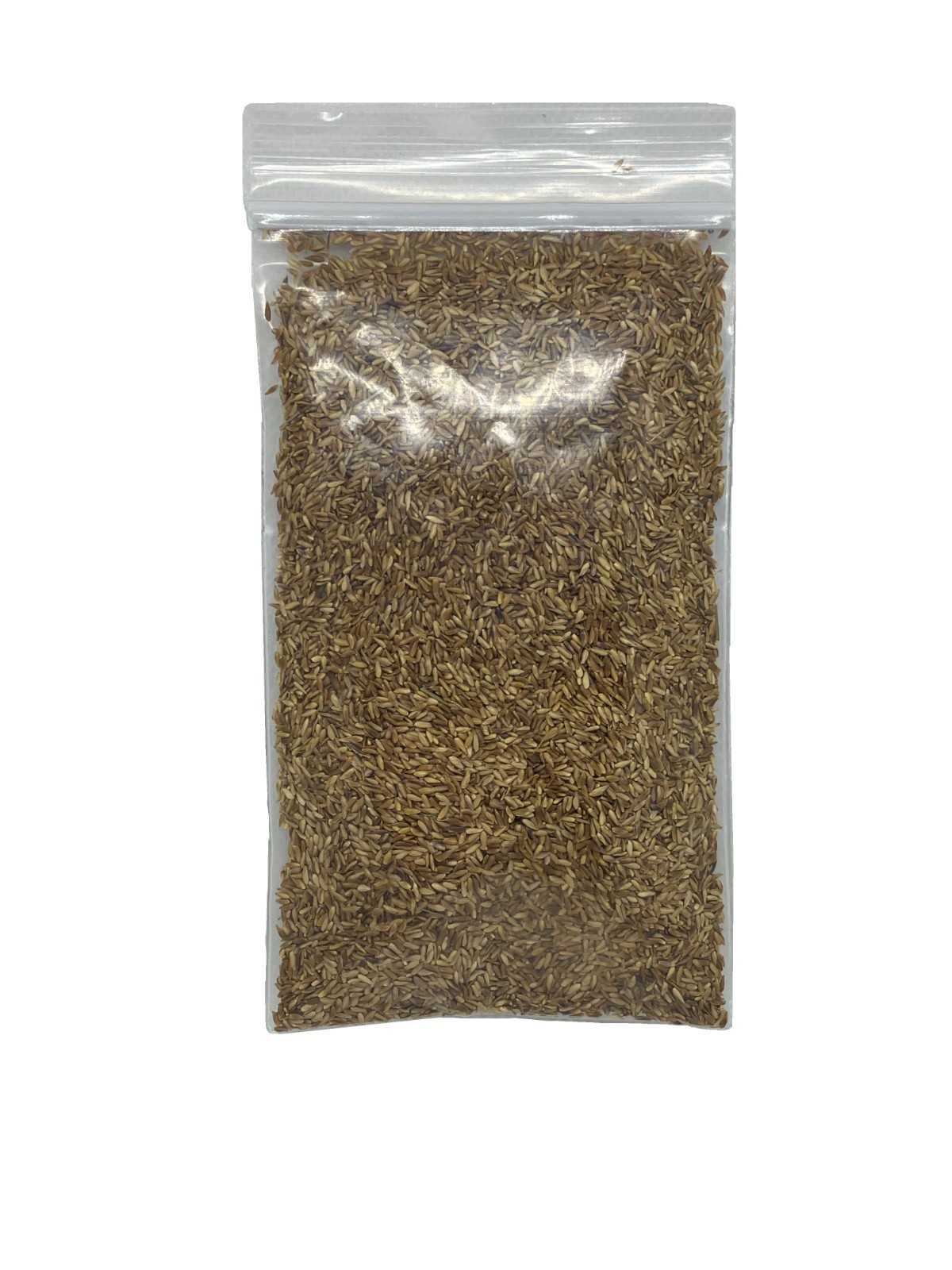 Zenith Zoysia 12,000+ Grass Seeds for a Healthy, Low-Maintenance Lawn – 1 ounce
