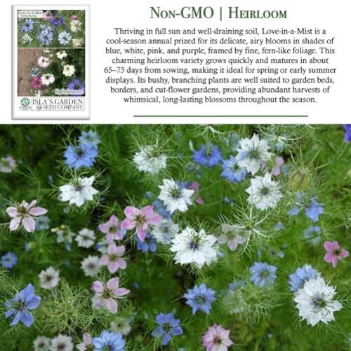 Love-in-a-Mist Mix Flower Seeds (Nigella damascena) – 200+ Non-GMO & Heirloom