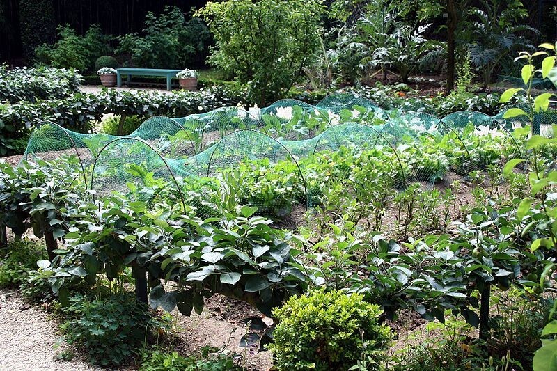 121 Varieties! 52,000+Seed Non-GMO DOOMSDAY SEED CACHE WITH $30 HERB PACK
