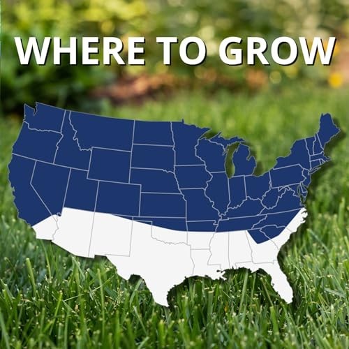 Premium Black Beauty Ultra Grass Seed – Cool Season Lawn Seed 25 lb for Lush Law