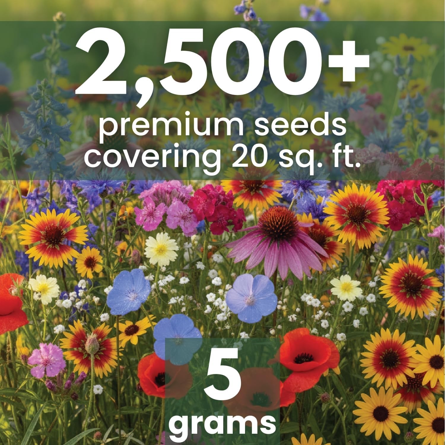 Midwest Regional Mix – 2,500 Seeds for Planting – 2026 Season – 5 Gram Pouch
