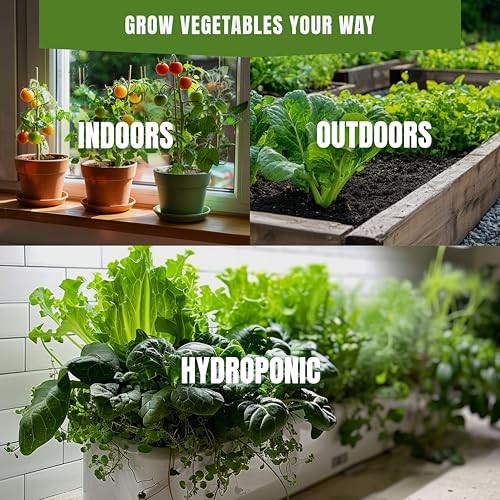 Vegetable Seeds Variety Pack – Tomato, Green, Red, Purple, Yellow, Multi