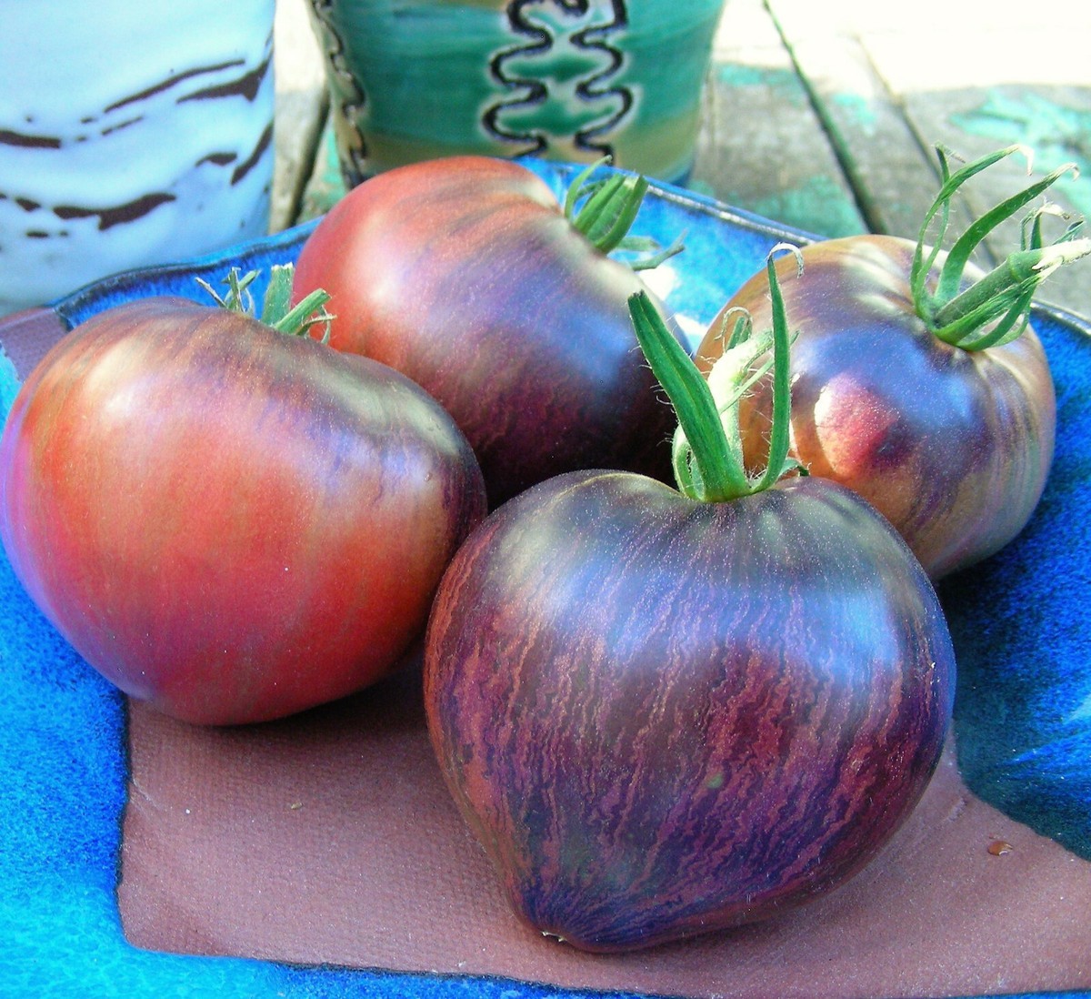 10 seeds Rebel Starfighter Prime Heart Tomato Rare ORGANIC Variety