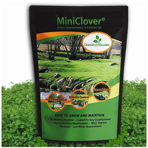 Outsidepride Perennial White MiniClover Seed 1 lb Dwarf Small Leaved Drought &