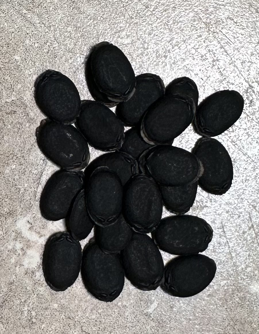 Luffa Seeds 25 Count