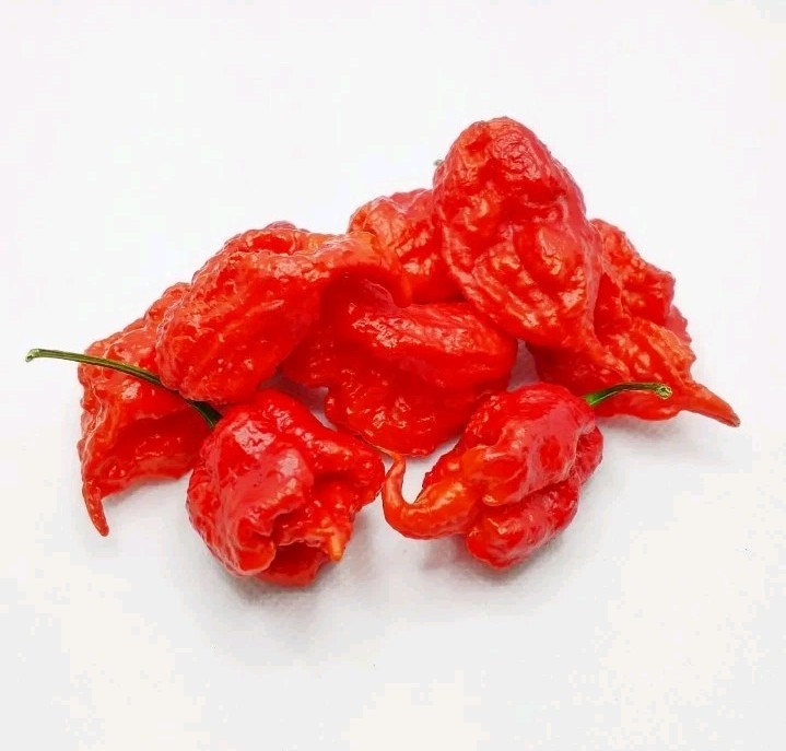 Red Hot Summer Deluxe – 48 Superhot Seeds -Reaper, Primo, Ghost & Death Spiral