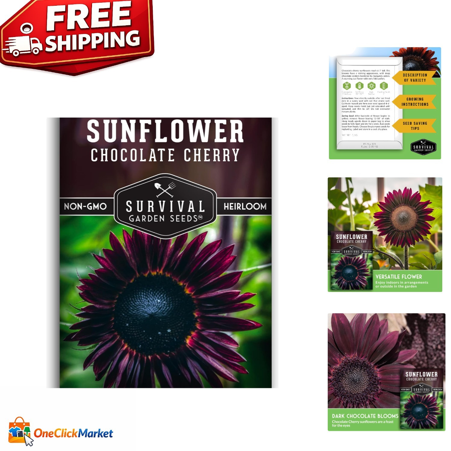 Heirloom Chocolate Cherry Sunflower Seeds | Low Maintenance, High Impact Blooms