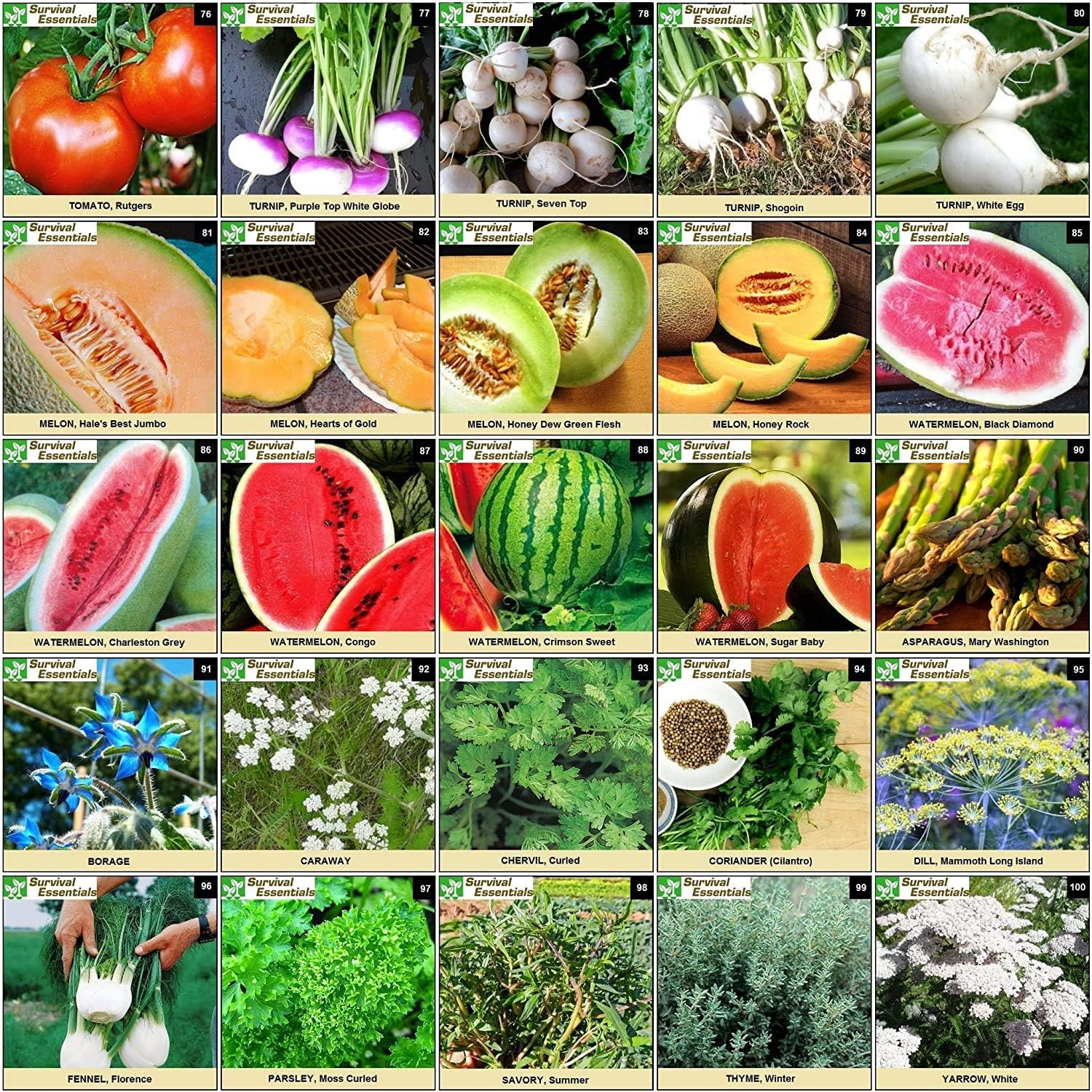 Garden Heirloom Seed Vault, 100 Variety, over 17,500 Vegetable, Fruit, and Herbs