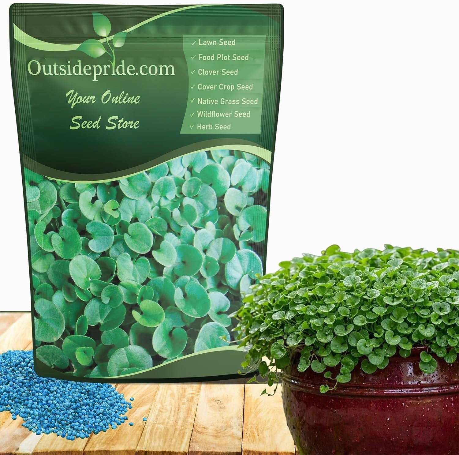 Low-Maintenance Dichondra Seeds – Ideal for Quick Lawn Alternatives and Erosion