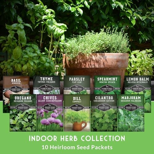 Indoor Herb Seeds Variety Pack | 10 Herbs for Planting – Basil, Mint, Parsley,