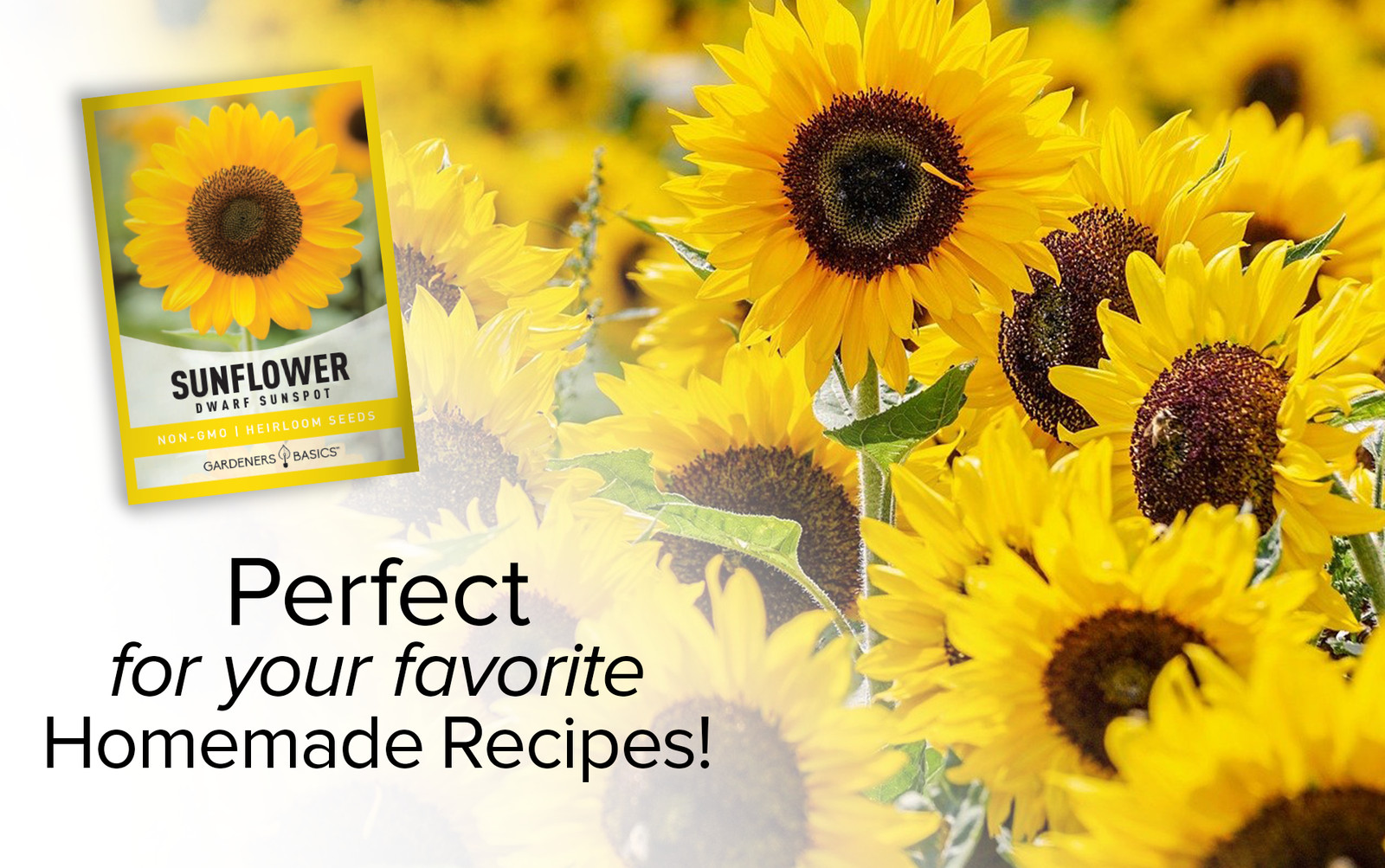 Sunspot Sunflower Seeds