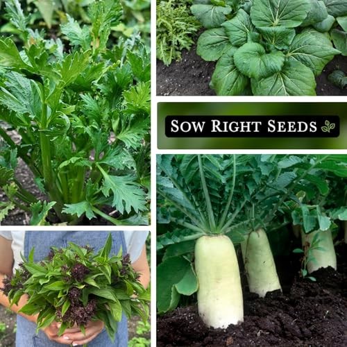 – Asian Garden Seeds for Planting – Includes Basil, Celery, Bunching Onion,