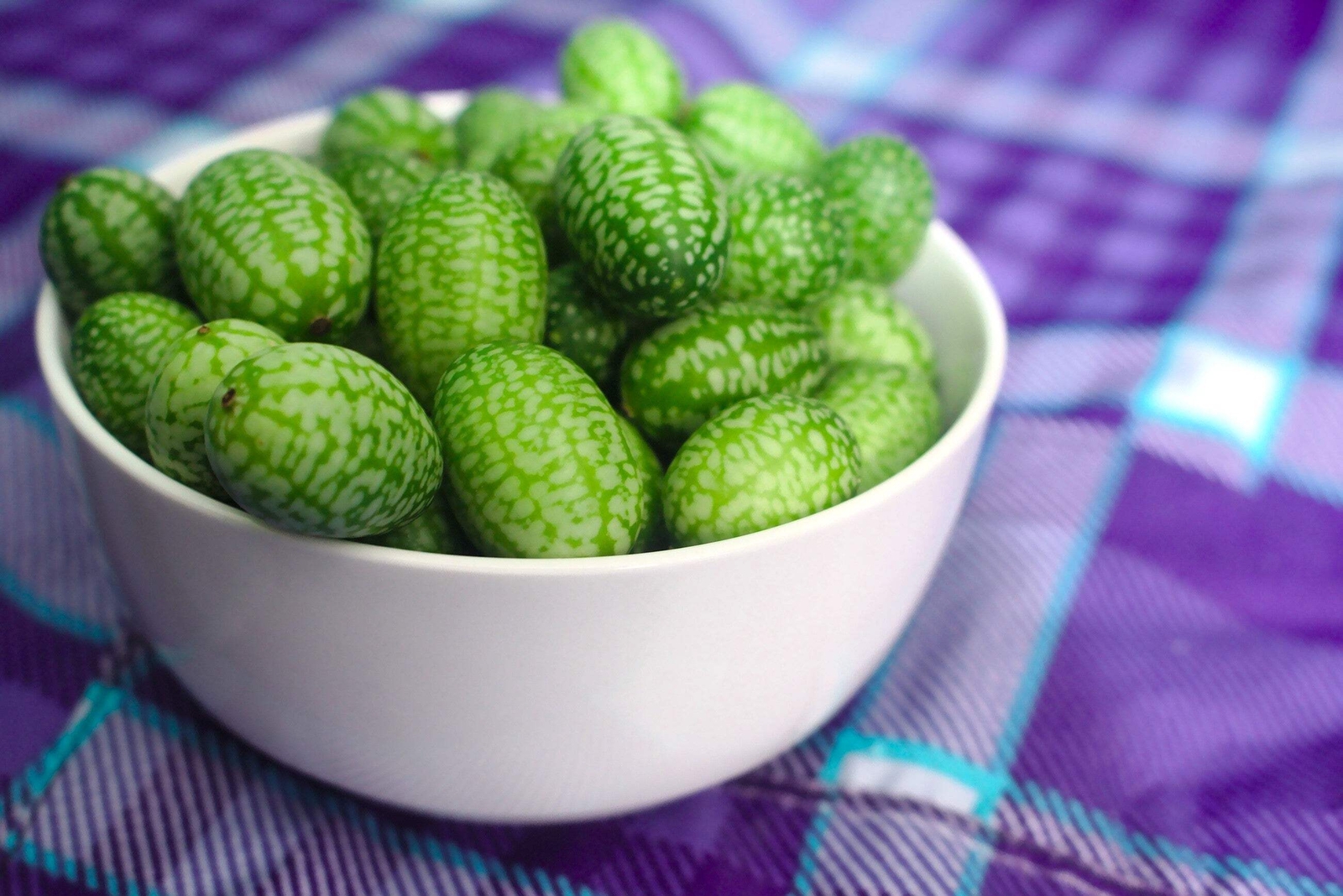 10 CUCAMELON Melothria Scabra Mouse Melon Mexican Mini Watermelon Fruit Seeds
