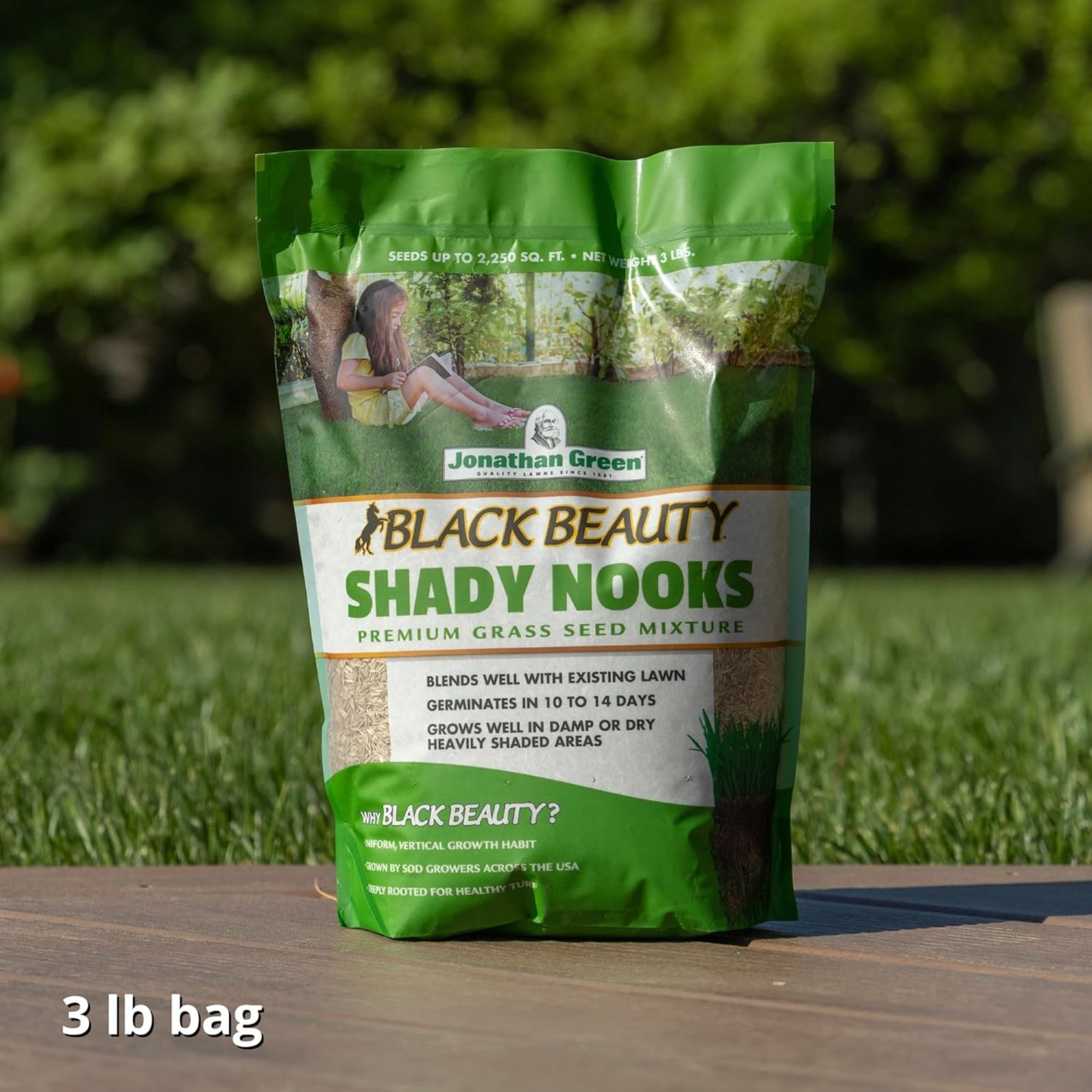 Jonathan Green Black Beauty Shady Nooks Grass Seed Mixture, 3lbs, 4 Pack