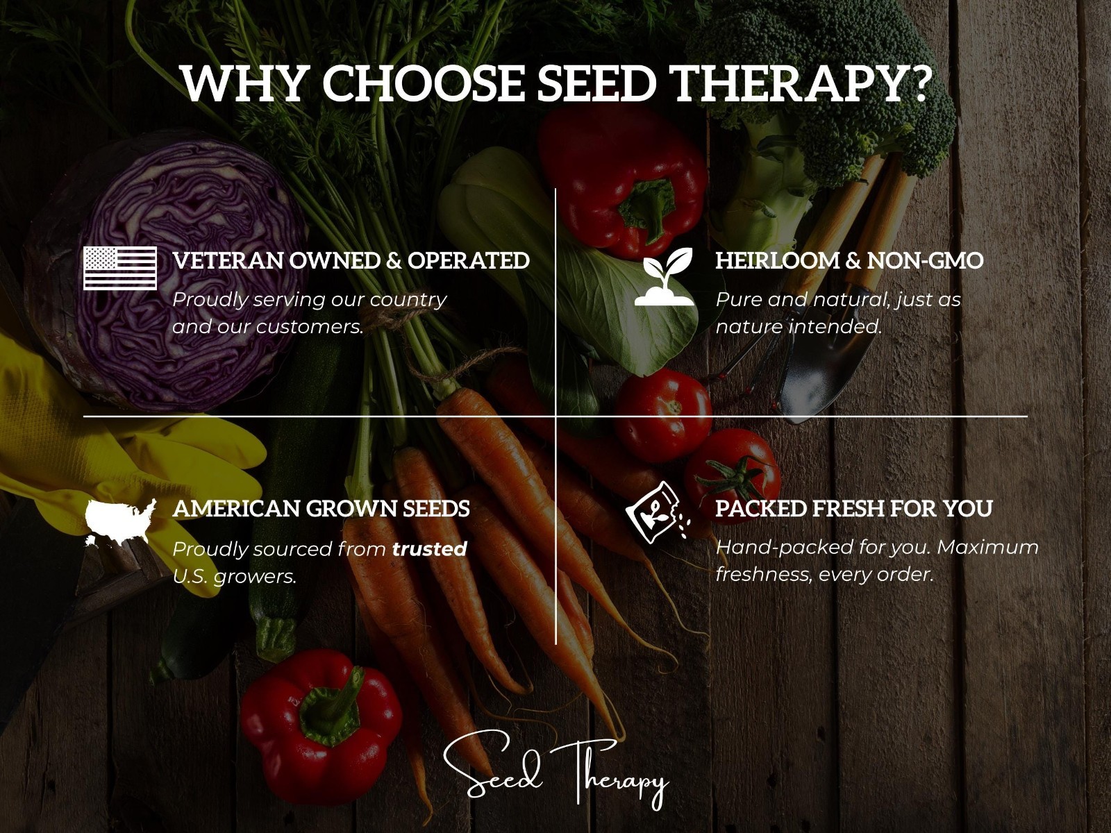 Foxtail Lily Seeds – Desert Candle, Evergreen Perennial, Towering Flowers